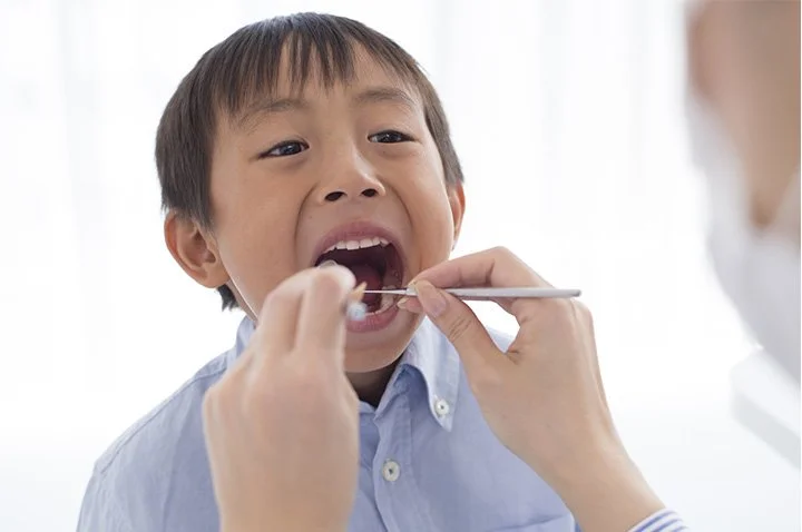 診療室で子どもに歯の模型を見せながら説明する歯科スタッフ