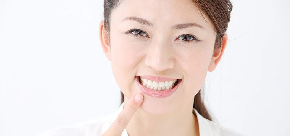 歯の模型を見ながら治療内容を確認するカウンセリングの手元